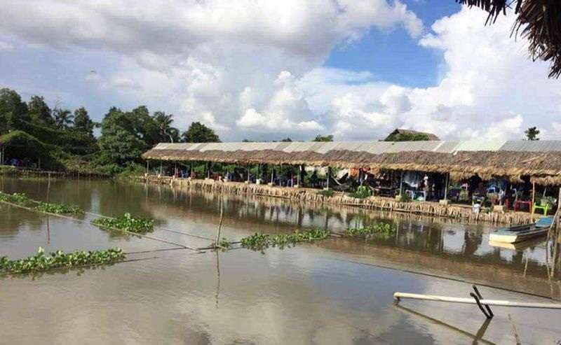 Khu câu cá Út Phương - Không gian yên tĩnh và thanh bình