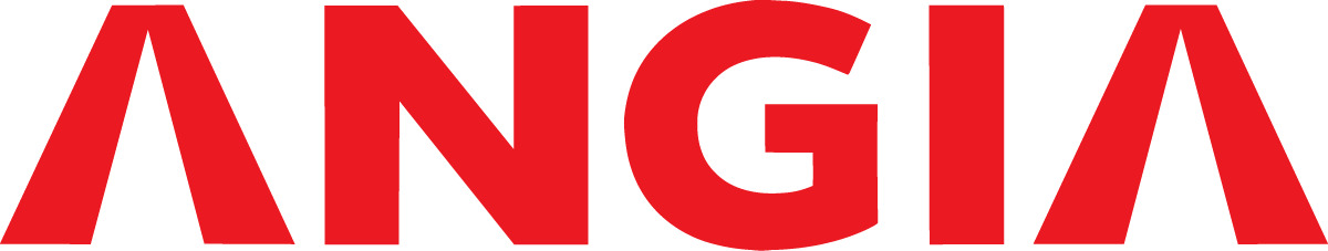 Logo Angia Group