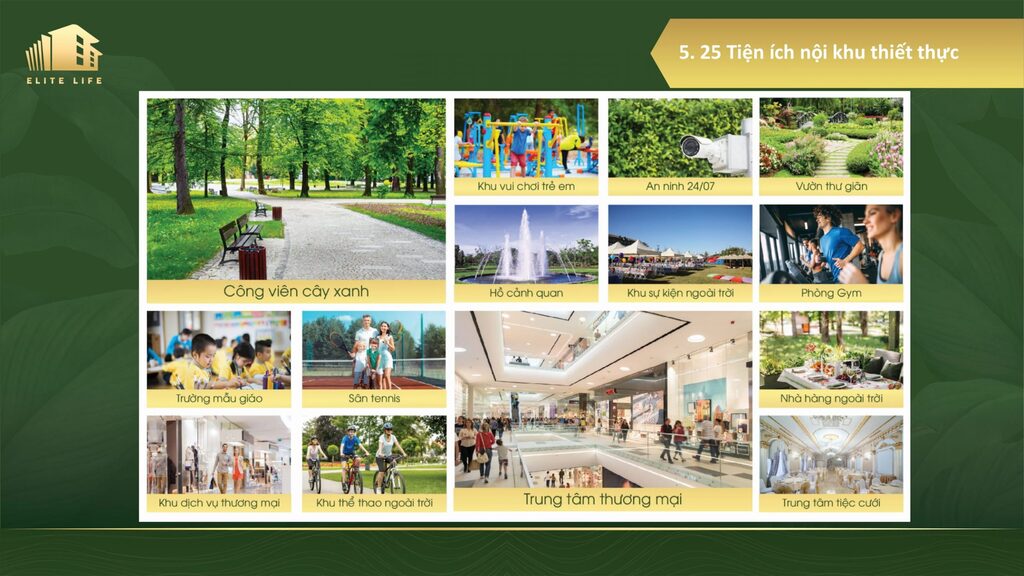 Có Nên Mua Dự án Elite Life Tân Thái Thịnh 0