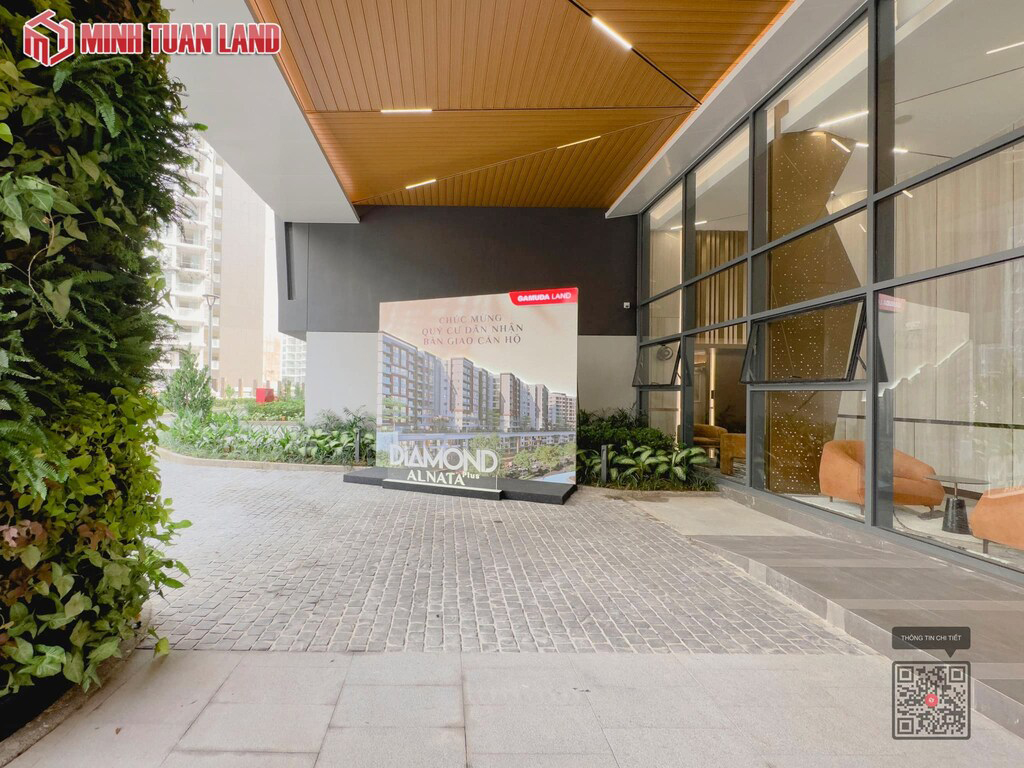 Diamond Alnata Plus 12