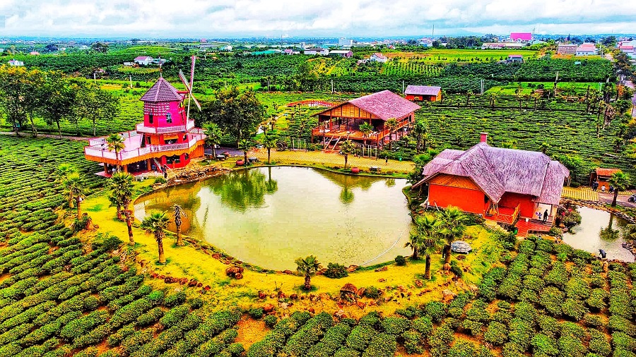 sản phẩm đất nền The Ocha Bảo Lộc Lâm Đồng0