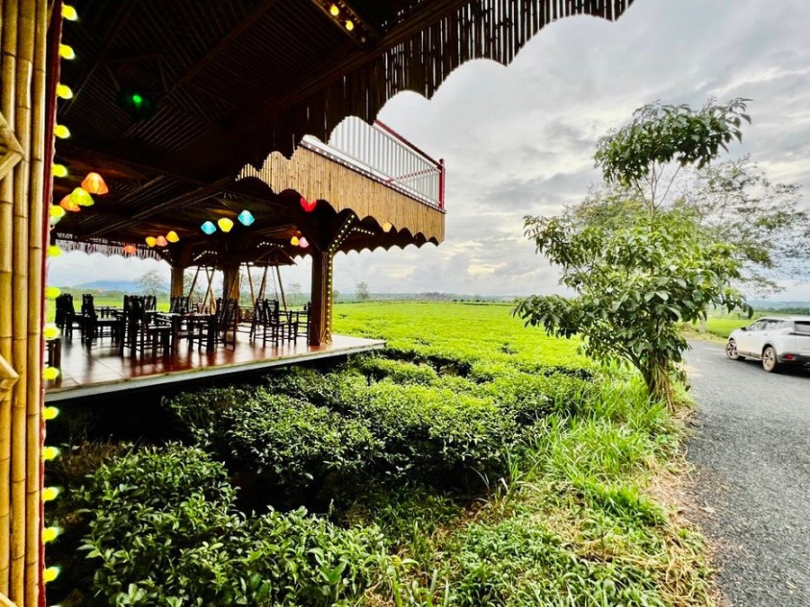 sản phẩm đất nền The Ocha Bảo Lộc Lâm Đồng7