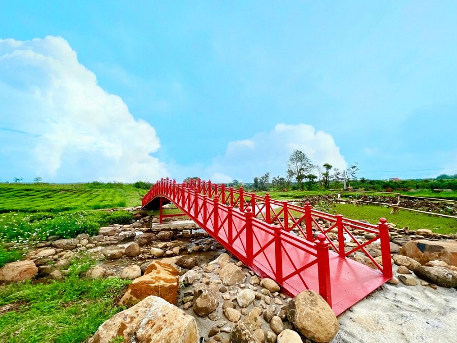 sản phẩm đất nền The Ocha Bảo Lộc Lâm Đồng8