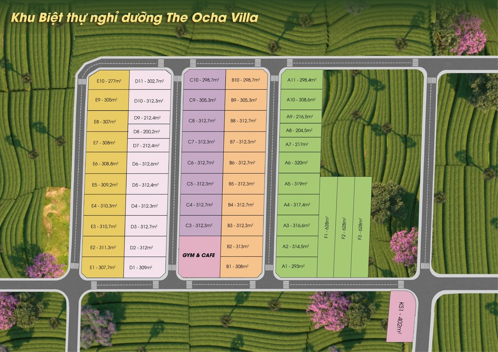 The Ocha Villa 1