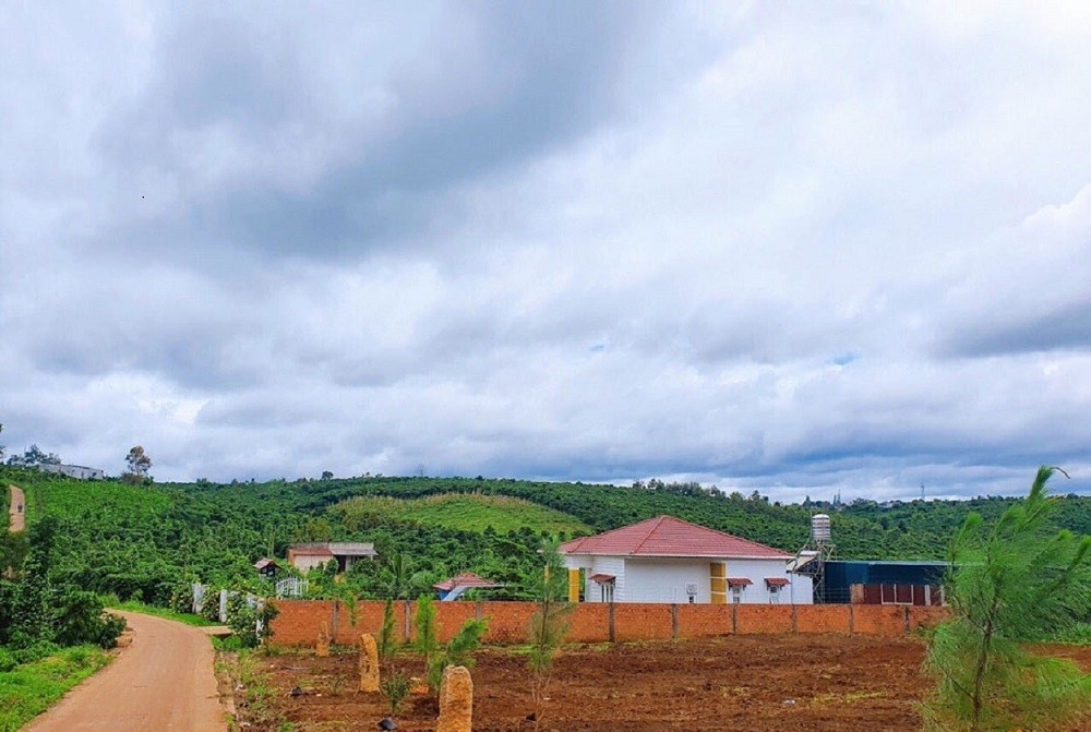 Kinh Nghiem Mua Dat Nen Bao Loc